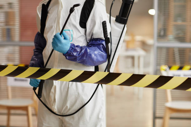 Professional Sewage Cleanup technician working in Arriba, CO